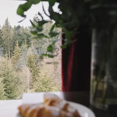 Hotell Borovets Green Hotel Borovets