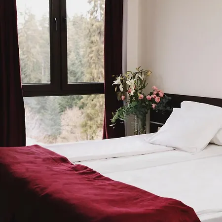 Borovets Green Hotel ボロヴェッツ