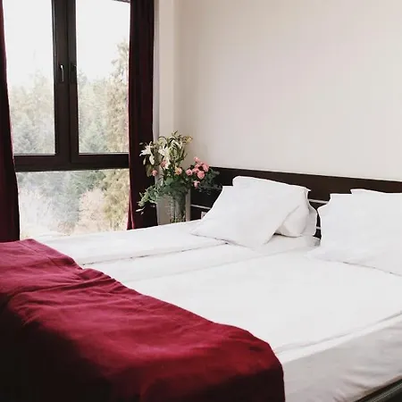 Borovets Green Hotel 4* ボロヴェッツ