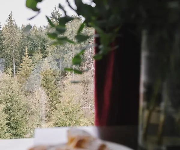 Хотел грийн Боровец